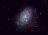 NGC2403_15Dec07_web.jpg (70534 bytes)
