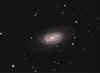 NGC2903_29Dec08_web.jpg (132315 bytes)