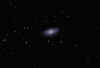 NGC3953_18Feb12_web.jpg (117751 bytes)