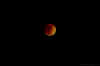 LunarEclipse_15May22.jpg (127808 bytes)