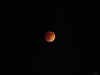 MoonEclipse_27Sep15_web.jpg (573831 bytes)