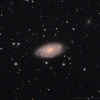 NGC3953_reducedCrop_6Feb21.jpg (92946 bytes)